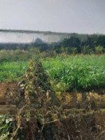 Cần Tiền Chửa Bệnh Cần Bán Lô Đất Đ.30/4,Gần Chợ Tâm Vu,Châu Thành,Long An.diện Tích120M2, 799 Triệu. Shr.