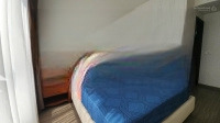 Cho Thuê Chung Cư Cao Cấp Celesta Rise Cđt Kappel Land 2 Phòng Ngủgiá Bán 19 Triệu Ở Liền
