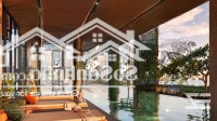 Mở Bán Đợt 1 Dự Án Icon40 Giai Đoạn 2 Chỉ Từ 1,5/Tỷ Căn Studio View Biển Thanh Toán Dãn 3 Năm