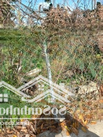 Chỉ 1,9 Tỷ Có Căn Nhà Vườn Xinh Xắn, 15X19,5M, 289M2, 100 Thổ Cư, Hẻm Ô Tô