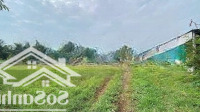 Kẹt Tiền Bán Nhanh Lô Đất Mtđ.võ Duy Linh,T.t Tân Hoà,Sát Chợ Gò Công Đông,Tiền Giang.cách Biển 10''