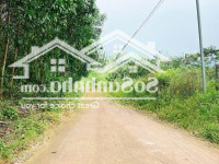 Vườn Bưởi - Ổi - Mít - Xoài Khánh Đông - Khánh Vĩnh Ngay Khu Dân Cưdiện Tích6565,7M2 Giá Rẻ