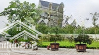 Loại Biệt Thự Này Ở Hà Đông (Mua Để Ở Hay Để Đầu Tư) Cũng Nên Sở Hữu Ngay Bây Giờ Khi Giá Còn Thấp