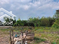 Cho Thuê Kho, Nhà Xưởng Tại Nguyễn Xiển, 50 Triệu, 3500 M2, Giá Ưu Đãi