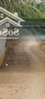 Đất Thổ Cư Xã Bảo Hoà, Xuân Lộc, Gần Long Khánh, Gần Ql1A, Gần Đường Nhựa Mả Vôi - Ấp Bưng Cần
