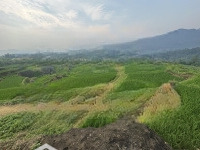 Hot! Bán Đất Pù Luông Bá Thước, Thanh Hóa, 4 Tỷ, 2200M2