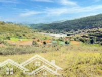 Bán Đất Khu Nghỉ Dưỡng Tại Thị Trấn Lạc Dương, 3 Tỷ, 2969 M2, View Đẹp, Chính Ẹp, Chính Chủ