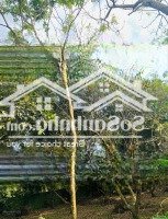 Bán ~700M2 P. Xuân Tân, Tp. Long Khánh, Đồng Nai, Giá Đầu Tư Phân Được 4 Nền