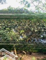 Bán ~700M2 P. Xuân Tân, Tp. Long Khánh, Đồng Nai, Giá Đầu Tư Phân Được 4 Nền