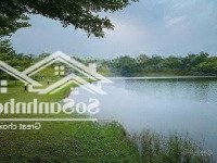 Bán Đất Mặt Tiền 15M, 150M2 Tại Thới Hòa, Bến Cát, Bình Dương, Giá Siêu Hời 3 Tỷ Vnd