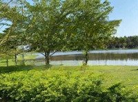 Bán Đất Mặt Tiền 15M, 150M2 Tại Thới Hòa, Bến Cát, Bình Dương, Giá Siêu Hời 3 Tỷ Vnd