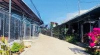 Cần Đất Đẹp Tại Xuyên Mộc Brvt. Diện Tích: 1300M² (Có 80M² Thổ Cư): 0878 567 179