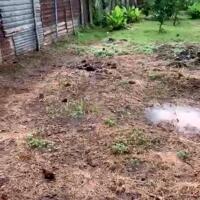 Bán đất vườn phường bàu sen