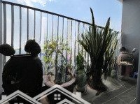 Căn Apartment Mặt Ngõ Phố Vũ Miên, Yên Phụ, Tây Hồ View Hồ Tây, Vài Bước Chân Ra Mặt Phố