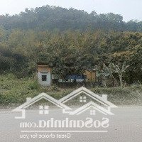 Bán Đất Cao Dương, Lương Sơn, Hòa Bình, 245M2 Full Thổ Cư , Giá Thỏa Thuận, Hot! Liên Hệ: 0929656188