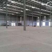 Cho thuê nhà xưởng 25.000m² - Chơn Thành, Bình Phước.