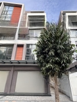 Siêu Phẩm Shophouse Phố Biển 140M2 Hai Mặt Tiền Đối Diện Cụm Chung Cư. Hàng Hiếm Sót Lại Cuối Cùng