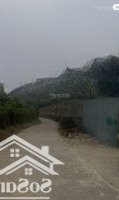 Bán Đất Tại Xóm Mới, Xã Thu Phong, Huyện Cao Phong, Hòa Bình