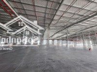 Cho Thuê Xưởng Khu Cn Bàu Bàng, Bình Dương, 19500M2 Và 37.500M2. Sản Xuất Đa Ngành Nghề