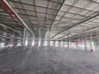 Cho Thuê Xưởng Khu Cn Bàu Bàng, Bình Dương, 19500M2 Và 37.500M2. Sản Xuất Đa Ngành Nghề