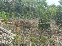 Cơ Hội Tốt Sở Hữu Ngay Đất Nền Giá Rẻ Đồng Nai - Chỉ 375Nghin/M2 Tại Định Quán