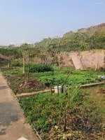 Giá Mềm, Bán Đất Dương Quang Gia Lâm Diện Tích 65M2 Giá 2,X Tỷ, Ô Tô Đỗ Cửa