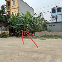 Bán đất tại Giàn Chiếu, Hợp Thịnh, Vĩnh Phúc. DT 150m2 Giá chỉ 20 triệu/m2