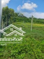 Bán Gấp Lô Đất Thổ Cư 5X26 Giá Bán 450 Triệu Tại Trảng Bàng Tây Ninh