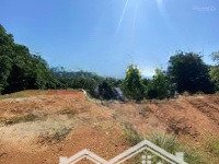 Chính Chủ Gửi Bán! Lô Đất 1Ha Đất Cao Thoáng Tại Yên Bình, Thạch Thất