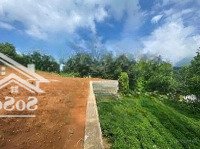 Chính Chủ Gửi Bán! Lô Đất 1Ha Đất Cao Thoáng Tại Yên Bình, Thạch Thất