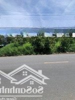 Cần Ra Đi Gấp Lô Đất 120M2 Đường Võ Việt Tân, Nhị Mỹ, Gần Chợ Cai Lậy, Tiền Giang, Giá Bán 550 Triệu. Shr.