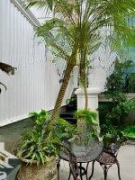 Siêu Phẩm Mặt Phố Điện Biên Phủ- Đỉnh Cao Đầu Tư. Diện Tích: 70M2 X 5 Tầng Gara Ôtô. Mặt Phố Cổ