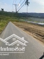 Bán Đất Thổ Cư 2000M2Mặt Tiềnbà Tỵ Đang Làm Giá Sẽ Tăng