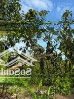 Đất Vườn Phù Hợp Mọi Nhu Cầu Tại Phú Túc, Định Quán Giá Chưa Tới 400 Triệu