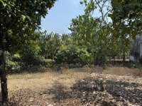 Đất Vườn Phù Hợp Mọi Nhu Cầu Tại Phú Túc, Định Quán Giá Chưa Tới 400 Triệu