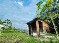 Bán Vườn Bưởi 1400M2 Ngang 20M Mặt Tiền Tỉnh Lộ 2 Diên Thọ Giáp Sông Cái Giá Bán 3,5 Tỷ (Thương Lượng)