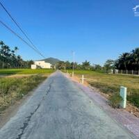 Lên một lô siêu phẩm phường Ninh Đa, Ninh Hoà  Giá hợp đầu tư tốt