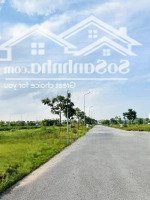 Chào Bán Kđt Mới Lam Sơn Nexus City - Tp. Bắc Giang