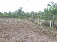 5X42M Có Thổ Cư. Đường Xe Hơi. Dân Cư Đông. 510 Tr