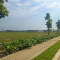 Bán đất xây dựng xưởng 1,6ha KCN Amata Long Thành, Đồng Nai