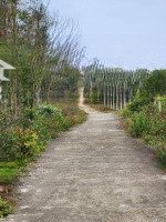 Bán Đất View Biển , Đô Thị Biển Bình Minh, Thăng Bình, Quảng Nam, Giá Ưu Đãi 10 Triệu / M2,