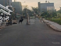 Bán Đât Rẻ Đẹp 51,6M2,Gần Đảo Kim Cương,Long Thuận Q.9 Giá Chỉ 3 Tỷ Tl.
