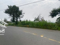 Bán Đất 195M2, 2,5 Tỷ Tại Âu Cơ, Tân Lạc, Bảo Lâm, Lâm Đồng