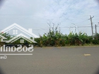 Bán Đất 195M2, 2,5 Tỷ Tại Âu Cơ, Tân Lạc, Bảo Lâm, Lâm Đồng