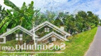 Hàng Hiếm Tại Đường Tỉnh Lộ 2, Diên Thọ, Diên Khánh, 5,66 Tỷ, 3140 M2 Ngang 30 Mét (Thổ Cư 400M2)