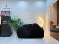 Căn Hộ Studio Ban Công - Thiết Kế Siêu Đẹp Ngay Quận 10