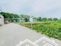 Bán Đất Đẹp Đường Tl27, Thạnh Lộc, Quận 12 Hẻm Xe Tải, Giá Tốt Gần Gò Vấp