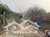 Chính Chủ Bán 133M2 Đất Hải Bối, Đông Anh
