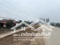 Chính Chủ Bán 133M2 Đất Hải Bối, Đông Anh