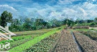 Bán Đất Siêu Hot Tại Tân Hải, Phú Mỹ, Bà Rịa Vũng Tàu 410 M2